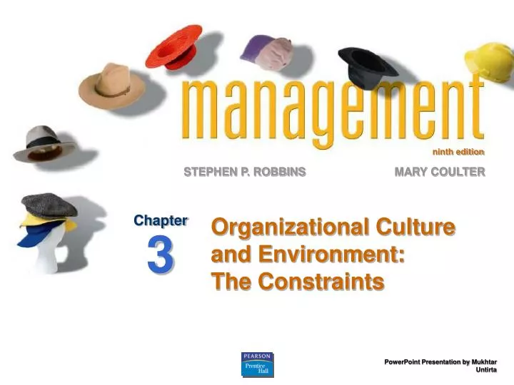 organizational culture and environment the constraints