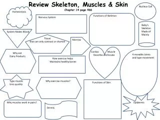Review Skeleton, Muscles &amp; Skin Chapter 14 page 466