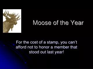 Moose of the Year