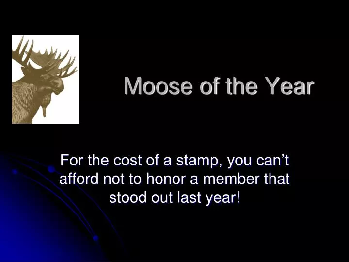 moose of the year