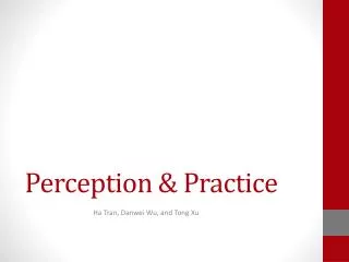 perception practice