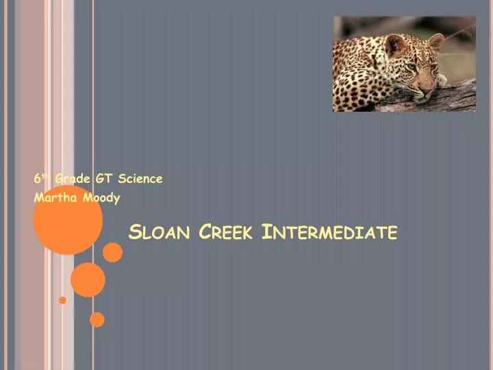 sloan creek intermediate