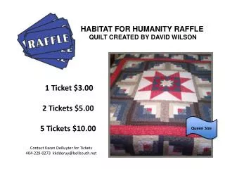HABITAT FOR HUMANITY RAFFLE QUILT CREATED BY DAVID WILSON