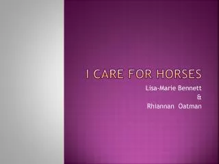 I care for Horses