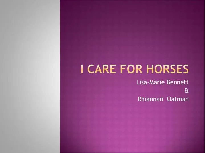 i care for horses