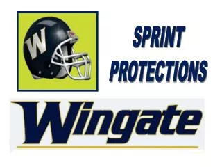 SPRINT PROTECTIONS