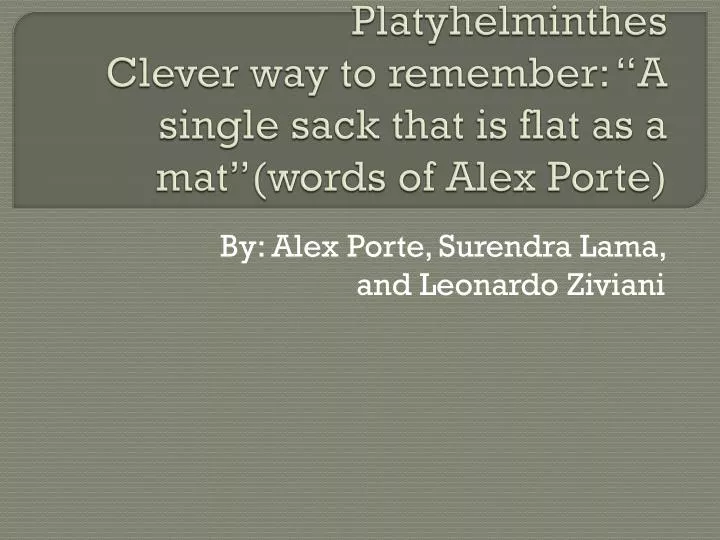 platyhelminthes clever way to remember a single sack that is flat as a mat words of alex porte