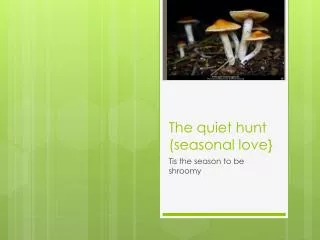 The quiet hunt (seasonal love}