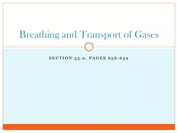 breathing and transport of gases