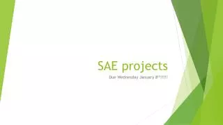 SAE projects