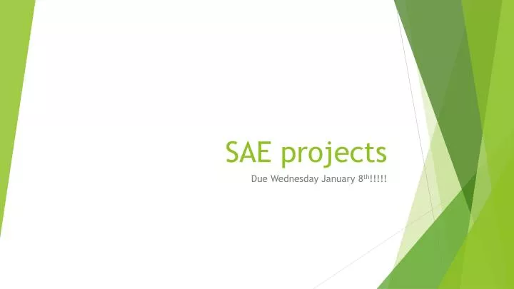 sae projects