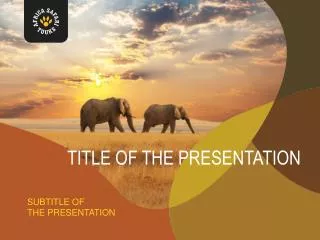 Title of the Presentation