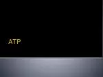 ATP - slide 1