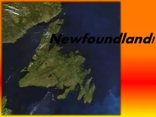Newfoundland!