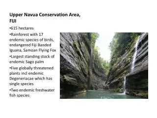 Upper Navua Conservation Area, FIJI