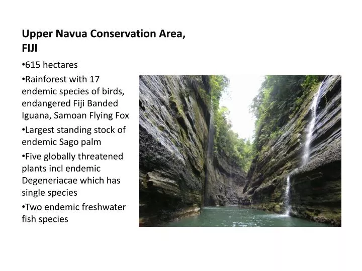 upper navua conservation area fiji