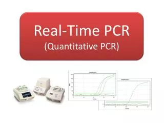 Real-Time PCR (Quantitative PCR)