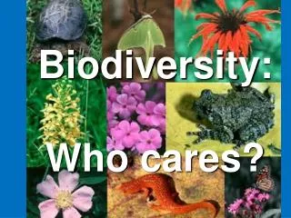 Biodiversity: Who cares?