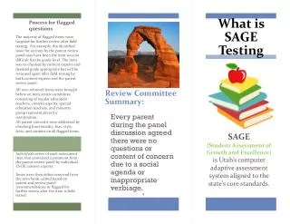 What is SAGE Testing