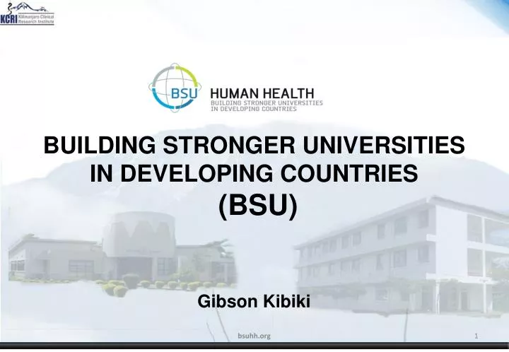 building stronger universities in developing countries bsu g ibson kibiki