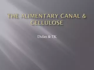 The Alimentary Canal &amp; Cellulose