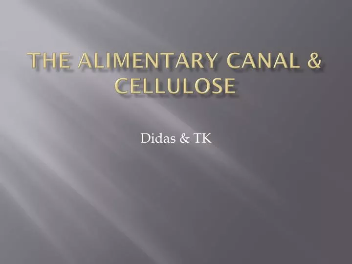 the alimentary canal cellulose