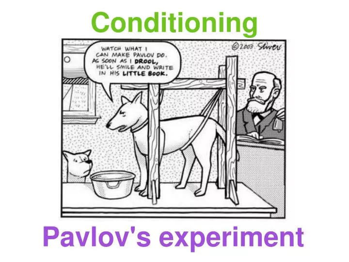 pavlov s experiment