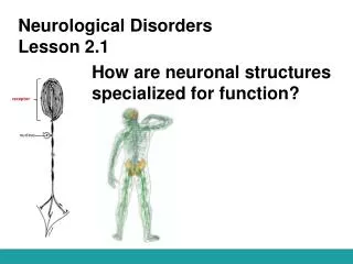 Neurological Disorders Lesson 2.1