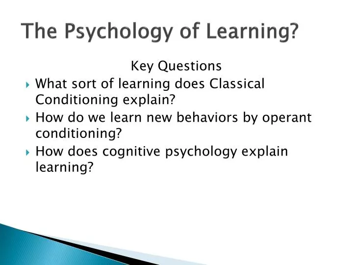 the psychology of learning