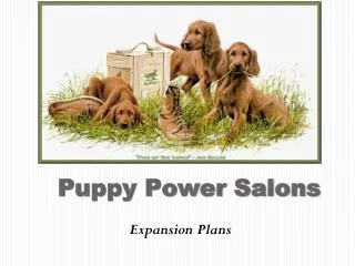 Puppy Power Salons