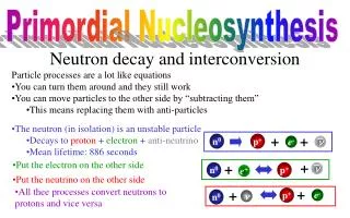 Neutron decay and interconversion