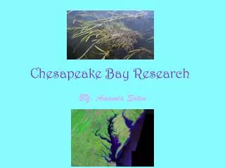 Chesapeake Bay Research