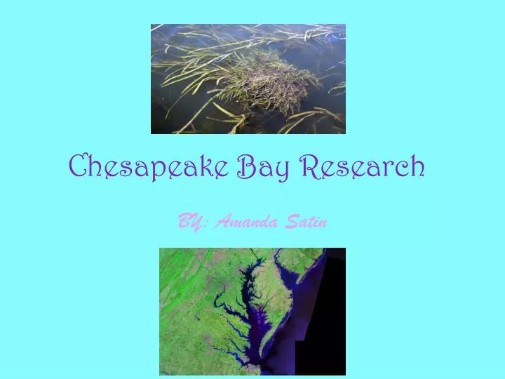 chesapeake bay research