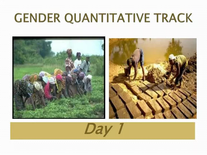 gender quantitative track