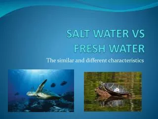 SALT WATER VS FRESH WATER