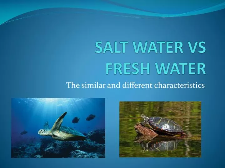 salt water vs fresh water