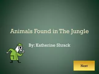 Animals Found in The Jungle
