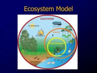 Ecosystem Model