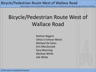 Bicycle/Pedestrian Route West of Wallace Road