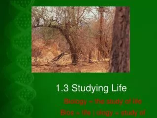 1.3 Studying Life