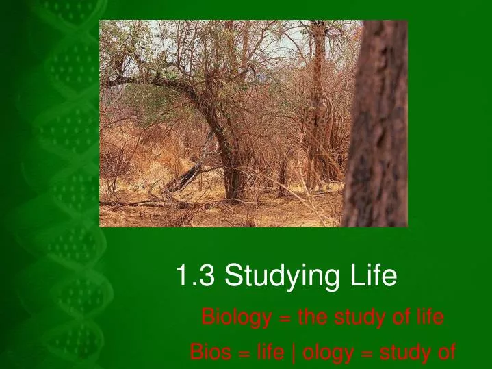 1 3 studying life