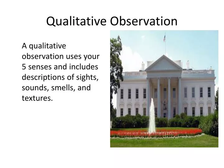 qualitative observation