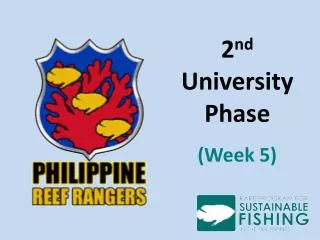 2 nd University Phase (Week 5)