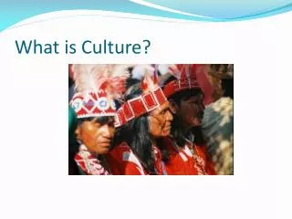 What is Culture?