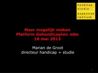 Meer mogelijk maken Platform Gehandicapten mbo 16 mei 2013