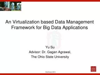 An Virtualization based Data Management Framework for Big Data Applications