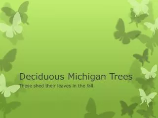 Deciduous Michigan Trees