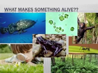 what makes something alive