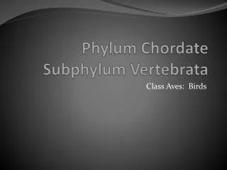 Phylum Chordate Subphylum Vertebrata