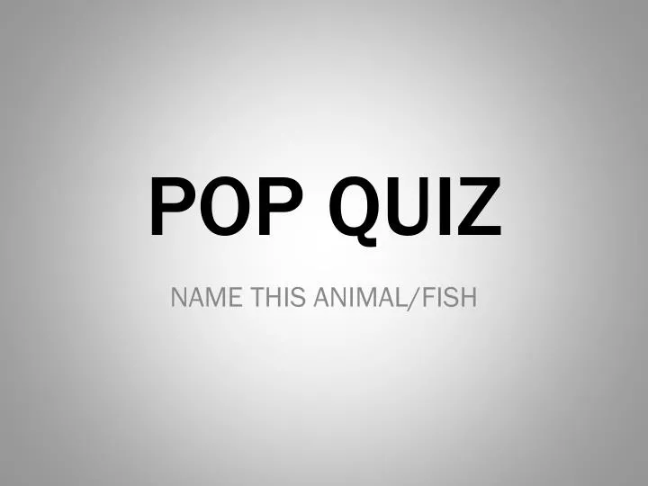 pop quiz